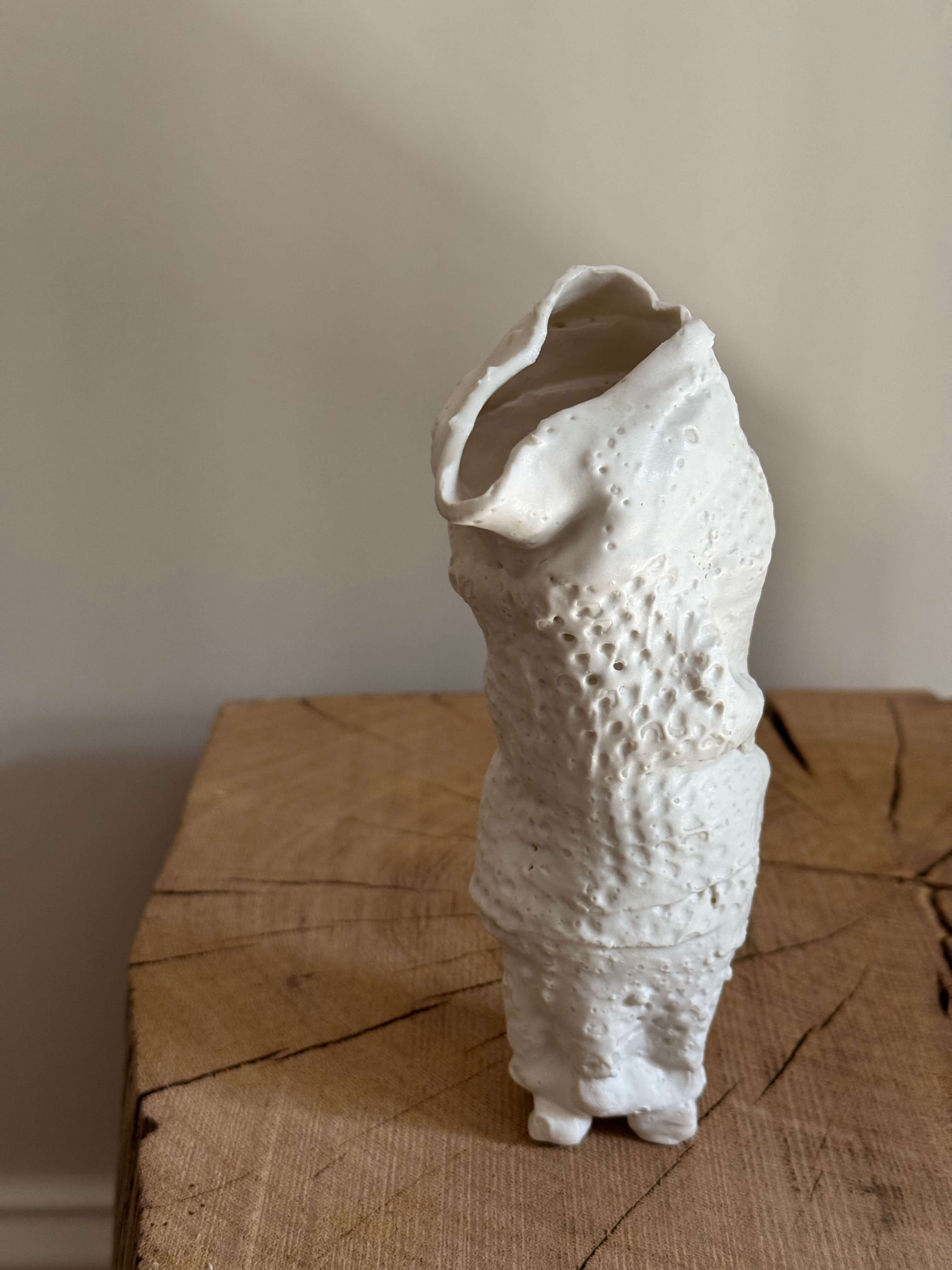 "100 Fioles" Porcelain Vases Duo -  001.220511.001