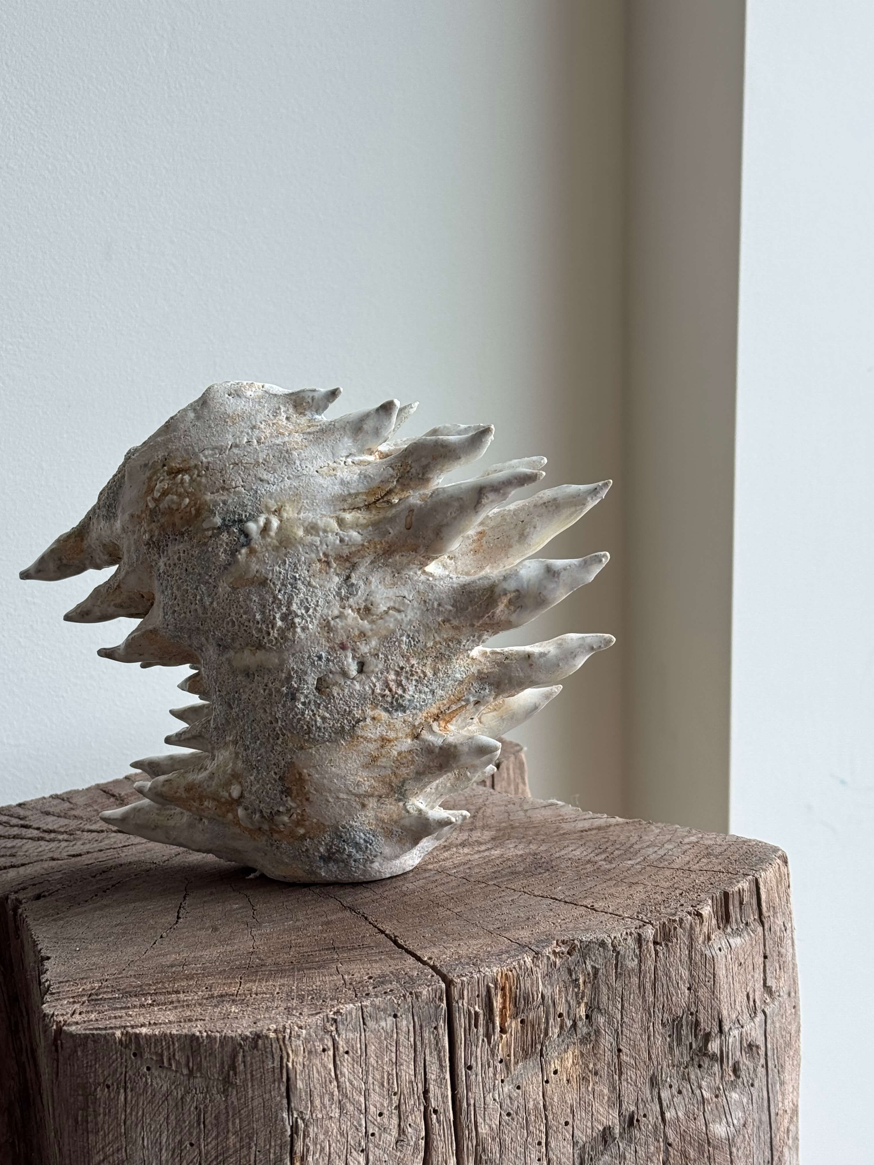 "Transe-Vase" Sculpture - 006.221107.008